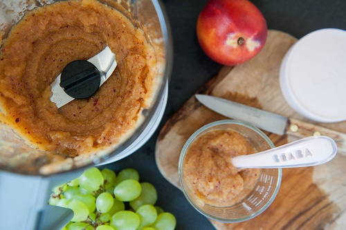 Beaba Babycook® Neo Grey/white